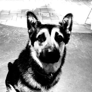 Meet your Posher, Efrain